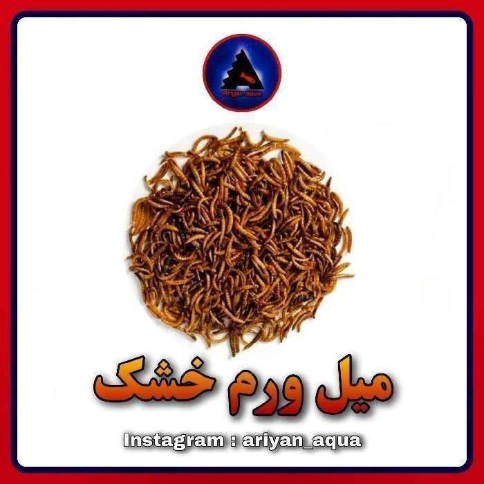 غذای کرم میل ورم خشک (100 گرم)