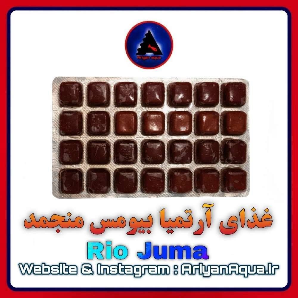 غذای آرتمیا بیومس منجمد Rio Juma
