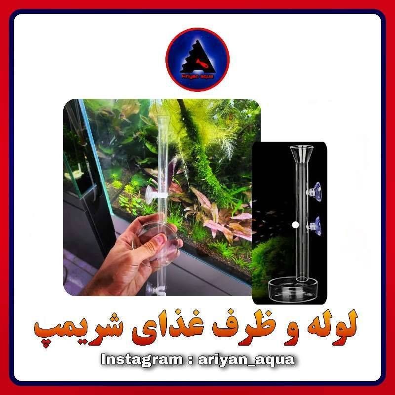 ظرف غذادهی ماهی و شریمپ