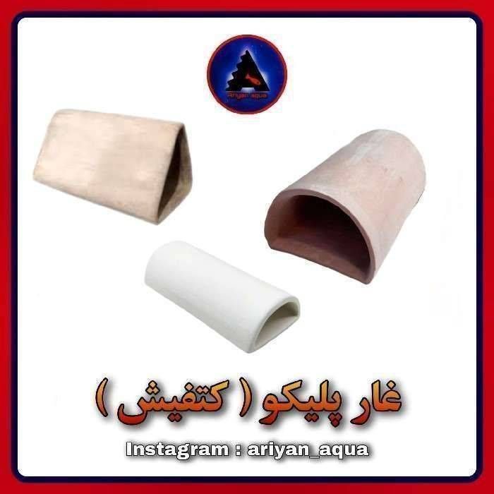 غار پلیکو (کتفیش) بزرگ