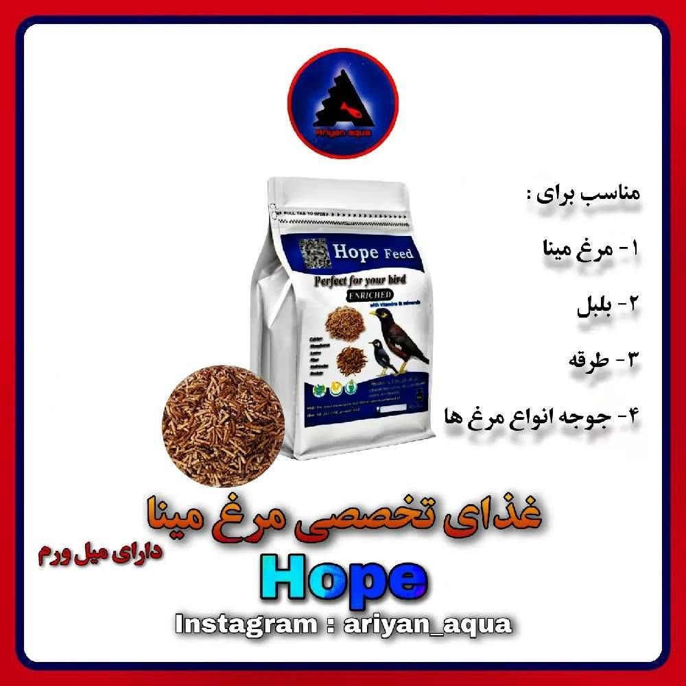 غذای تخصصی بلبل و مرغ مینا Hope