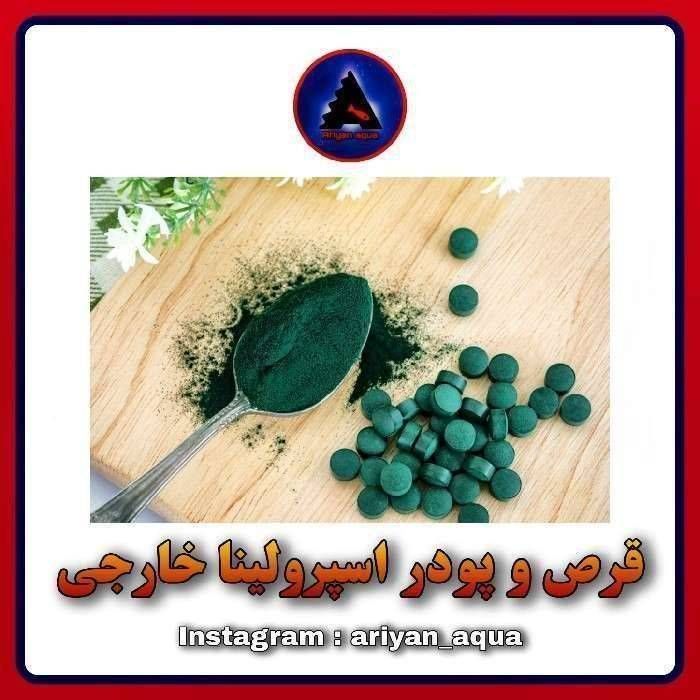 غذای پودر اسپرولینا 100% خالص (10 گرم)