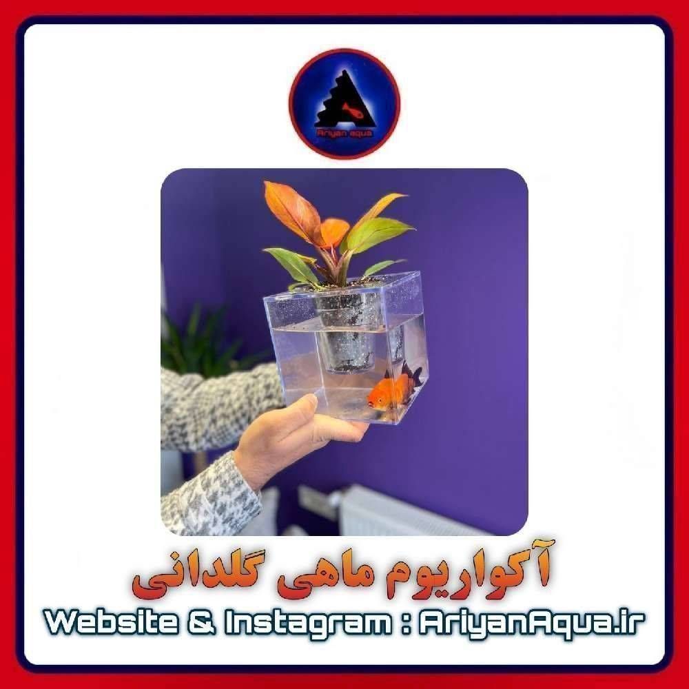 آکواریوم گلدانی