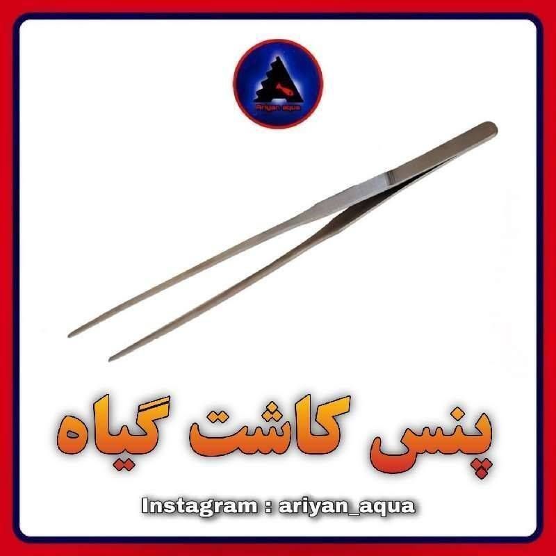 پنس کاشت گیاه 48cm
