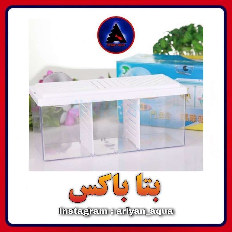 بتا باکس