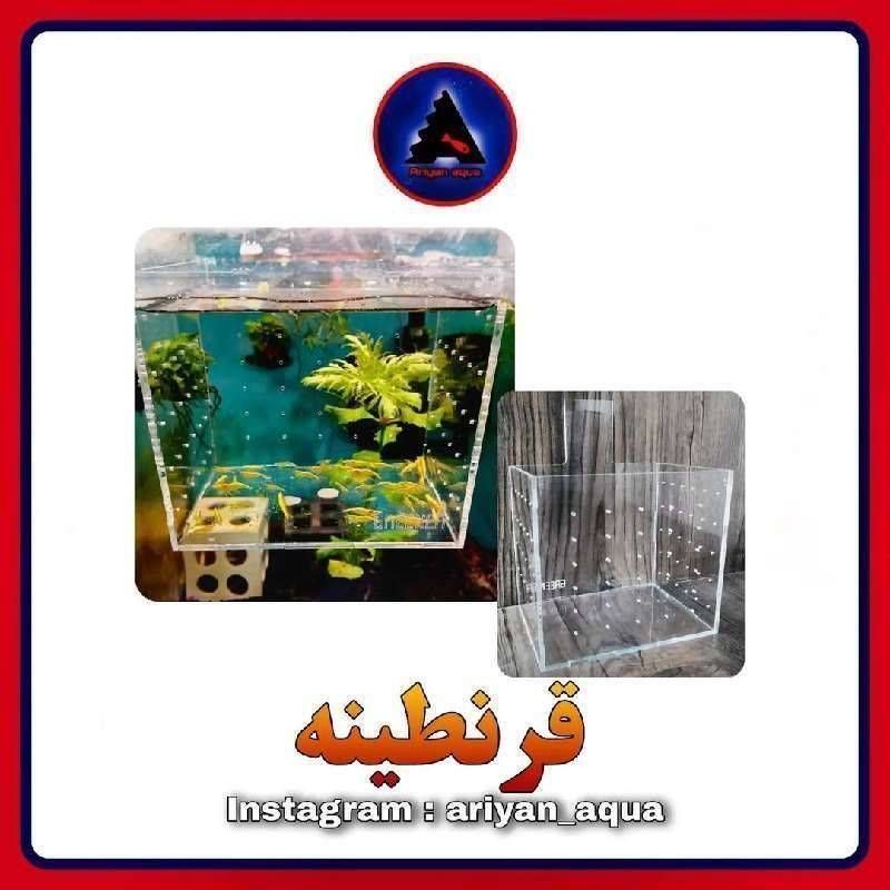 قرنطینه کوچک