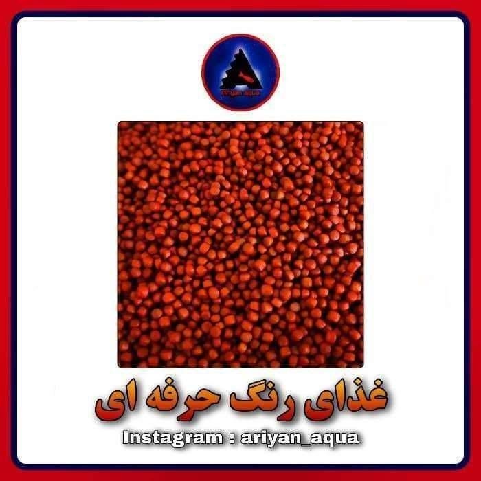 غذای رنگ گوشتخوار (250gr)