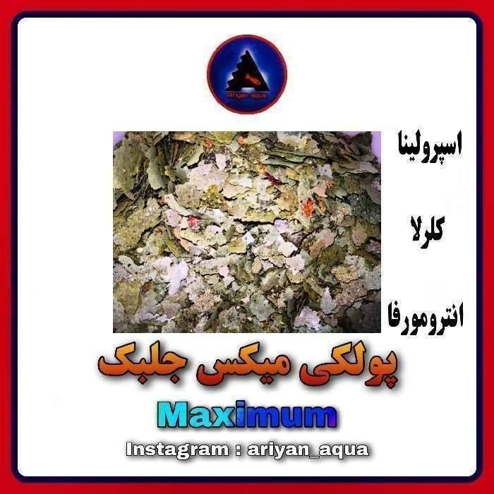 غذای پولکی Maximum Protein 8gr