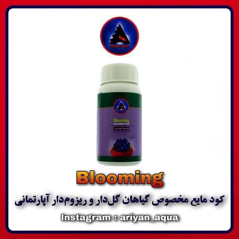 کود مایع گل دهی گیاهان آپارتمانی Blooming