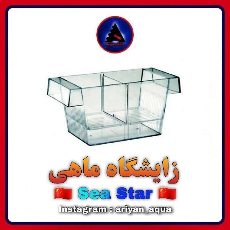 زایشگاه کوچک