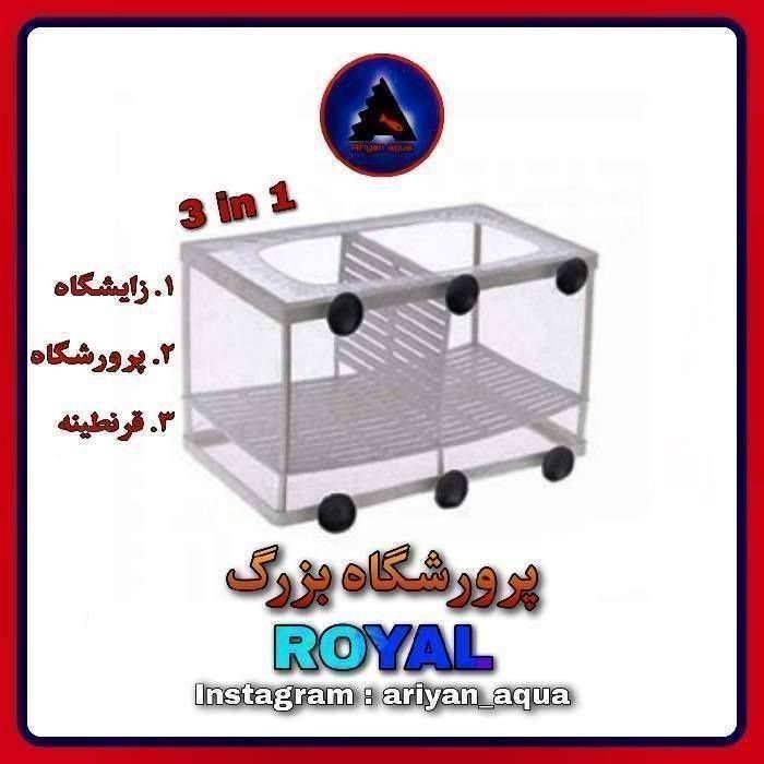 زایشگاه و پرورشگاه بزرگ رویال