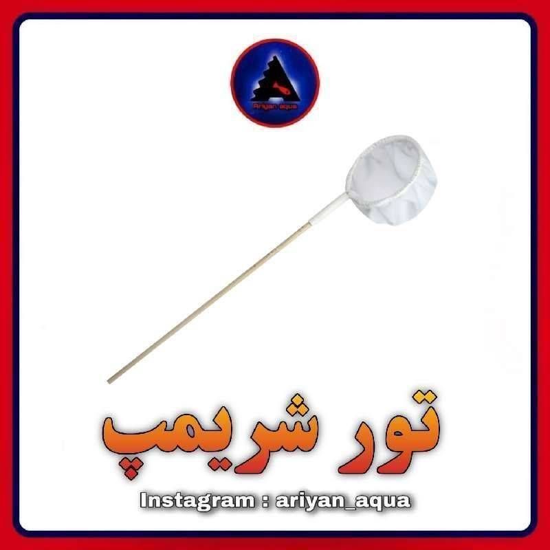 تور شریمپ و بچه ماهی
