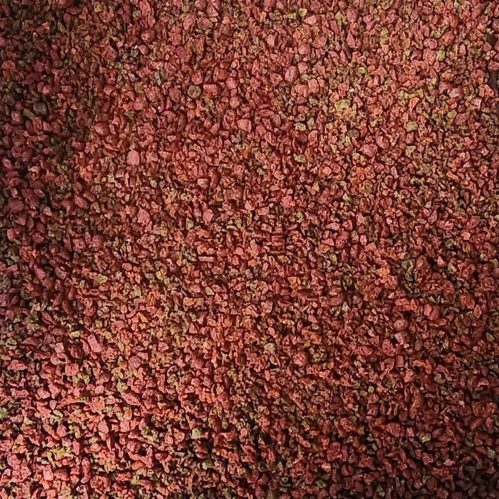 غذای رنگ حرفه ای گیاهخوار