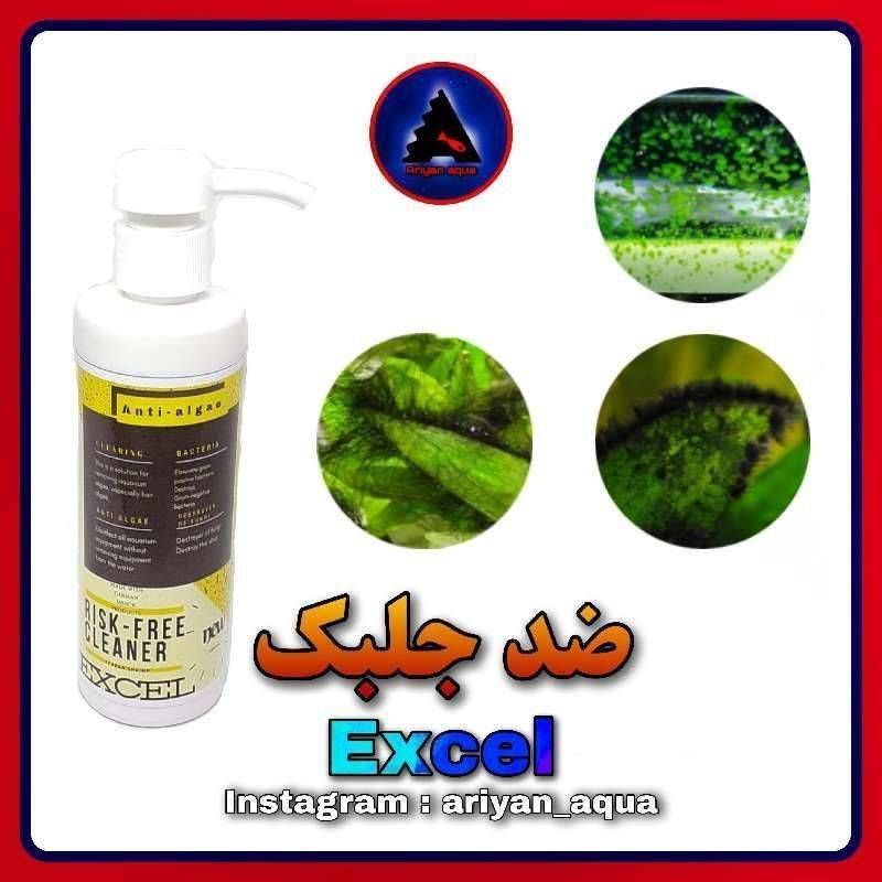 ضد جلبک اکسل