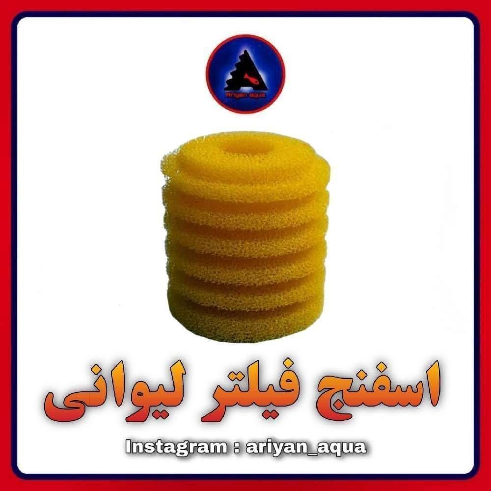 اسفنج فیلتر لیوانی
