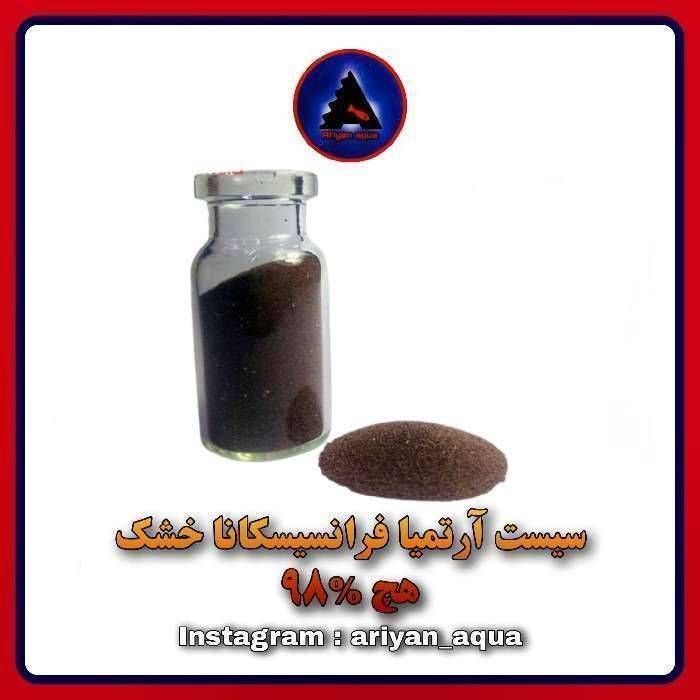 غذای سیست خشک آرتمیا فرانسیسکانا (10 گرم)