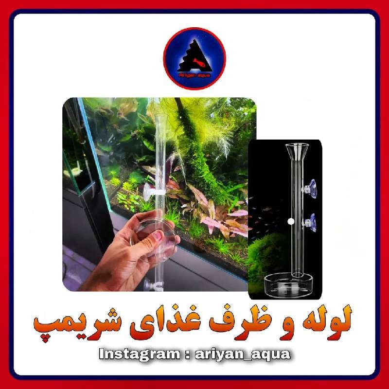 ظرف غذای شریمپ + لوله شیشه ای 50cm