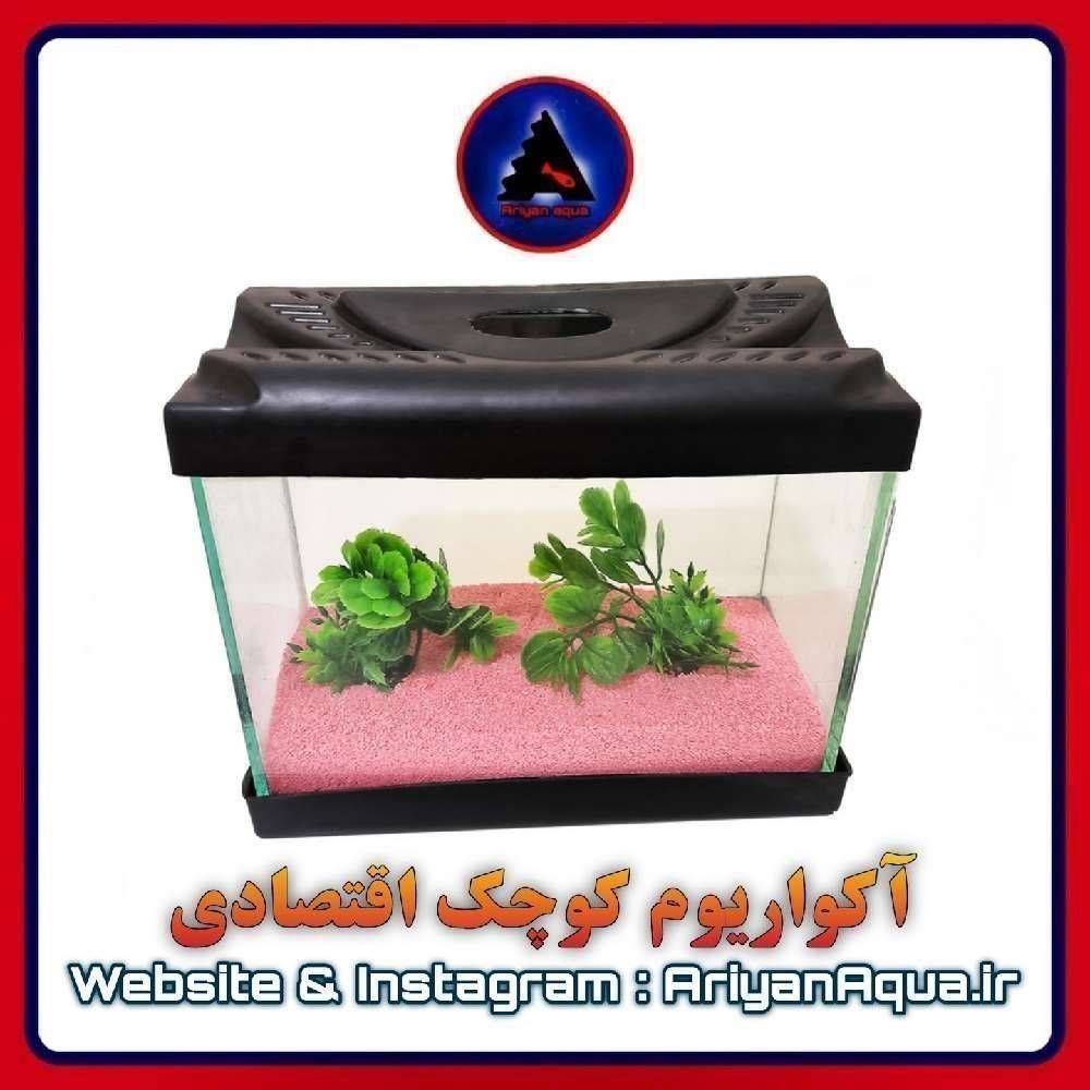 آکواریوم کوچک اقتصادی