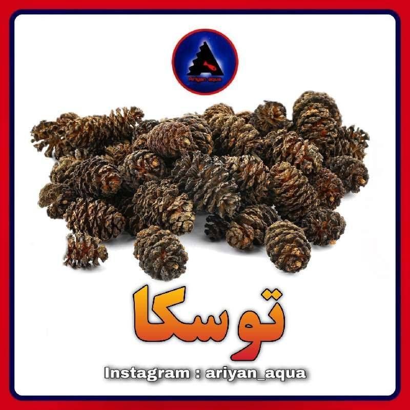 توسکا (5 عددی)