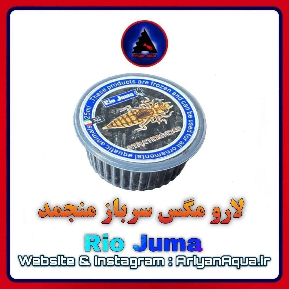 غذای لارو مگس سرباز منجمد Rio Juma