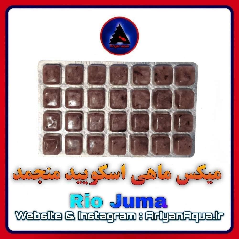 غذای میکس اسکویید منجمد Rio Juma