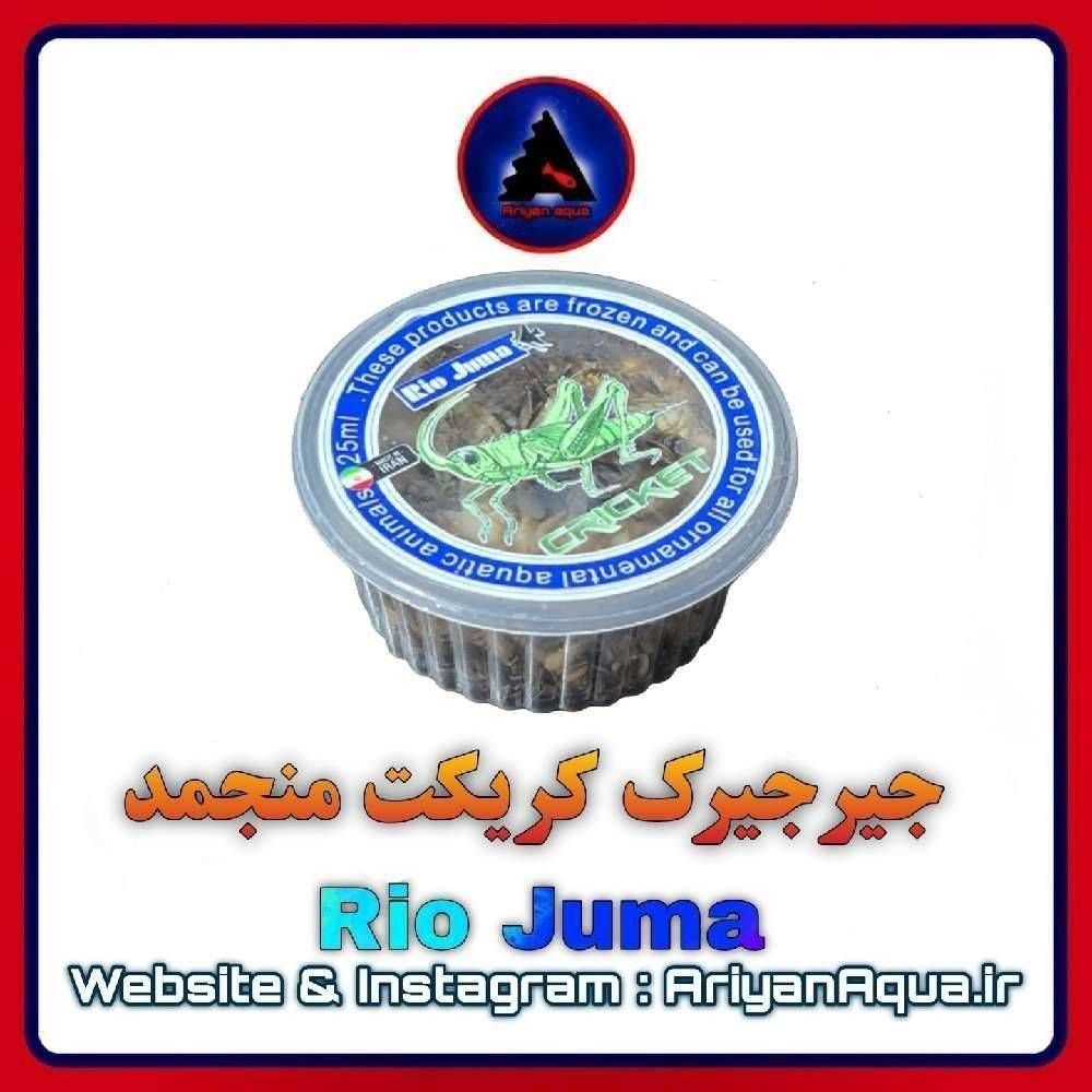 غذای جیرجیرک کریکت منجمد Rio Juma