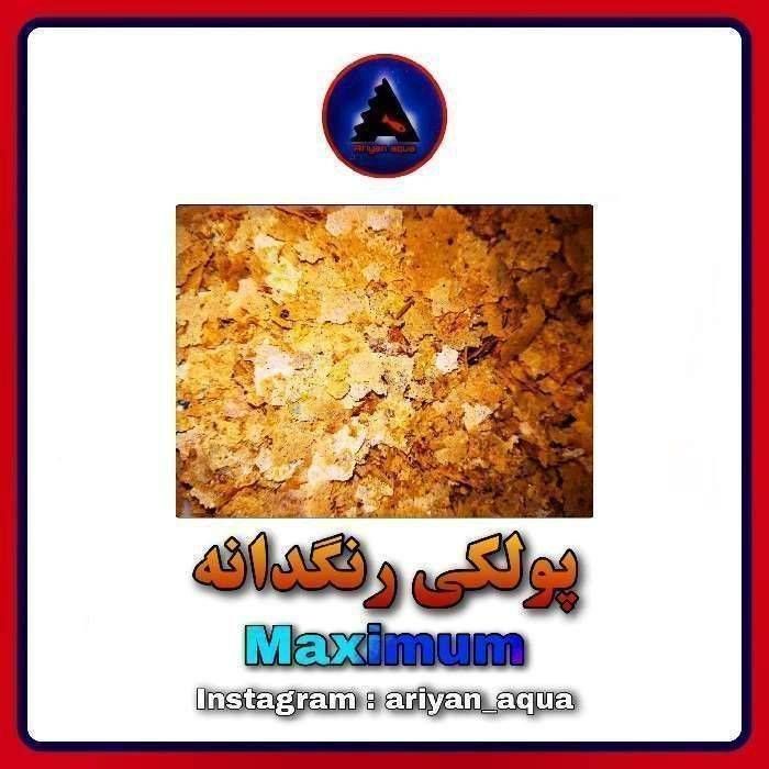 غذای پولکی Maximum Color 8gr