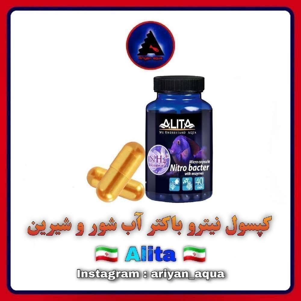 کپسول نیترو باکتری زنده آب شور و شیرین Alita