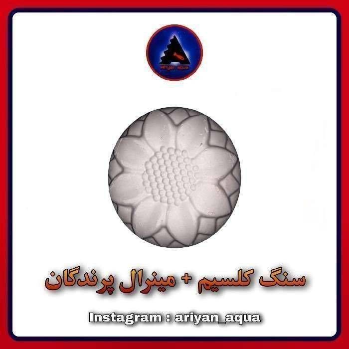 سنگ کلسیم مینرال + بلوک معدنی پرندگان