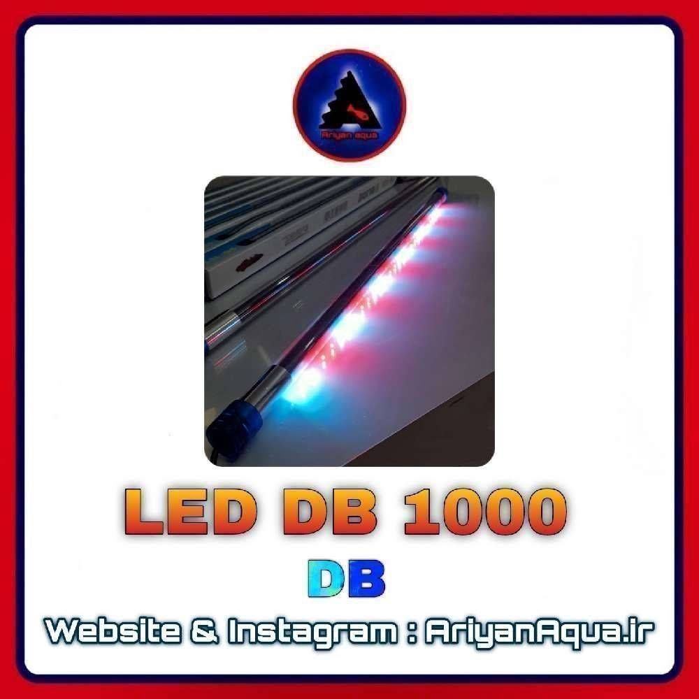 LED DB 1000