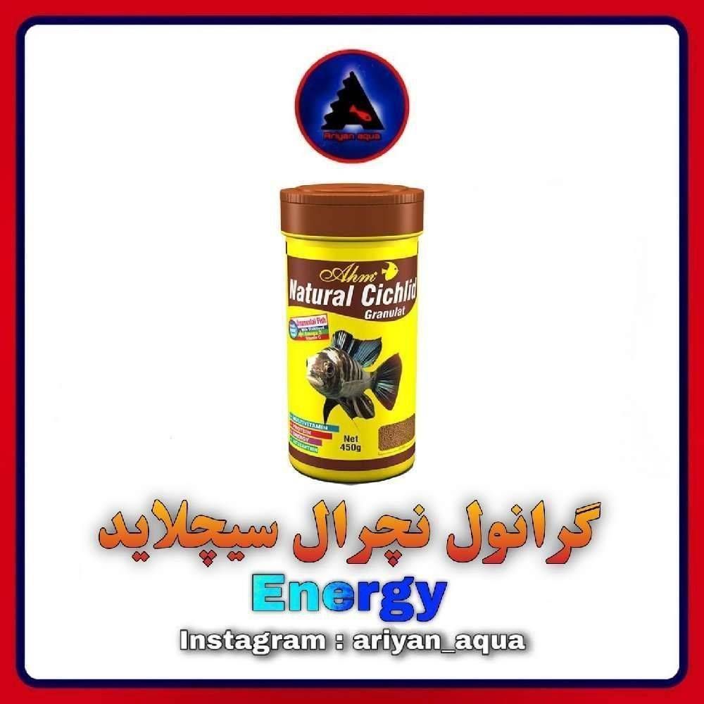 غذای Energy Natural Cichlide Granulat 50gr