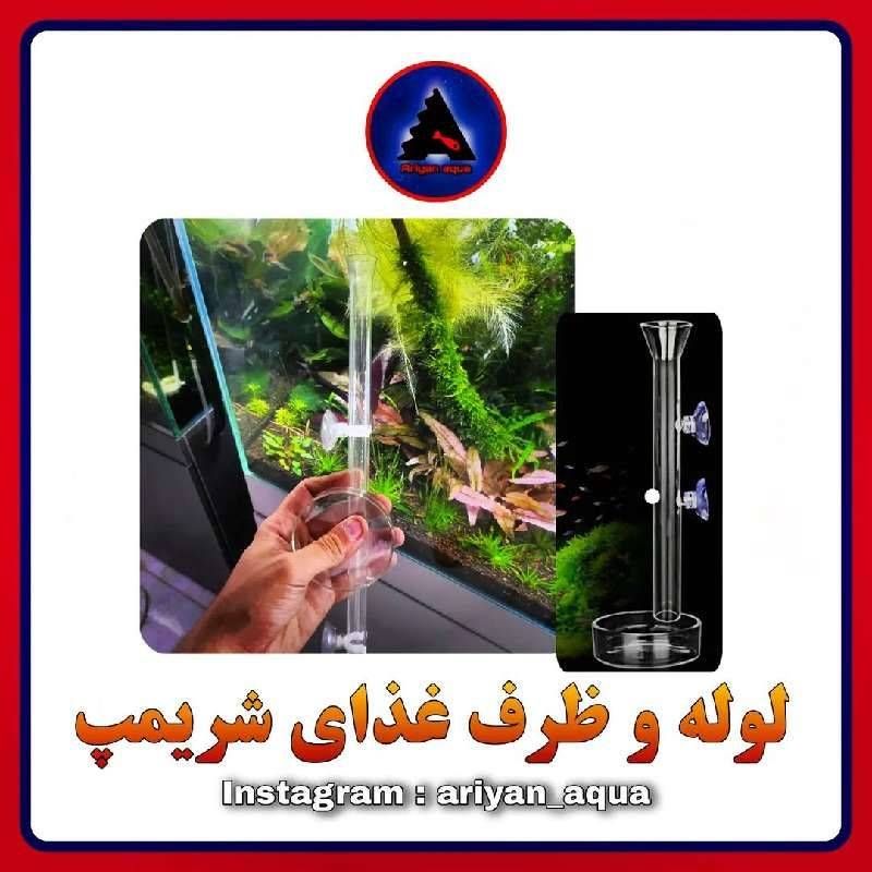 ظرف غذای شریمپ بدون لوله