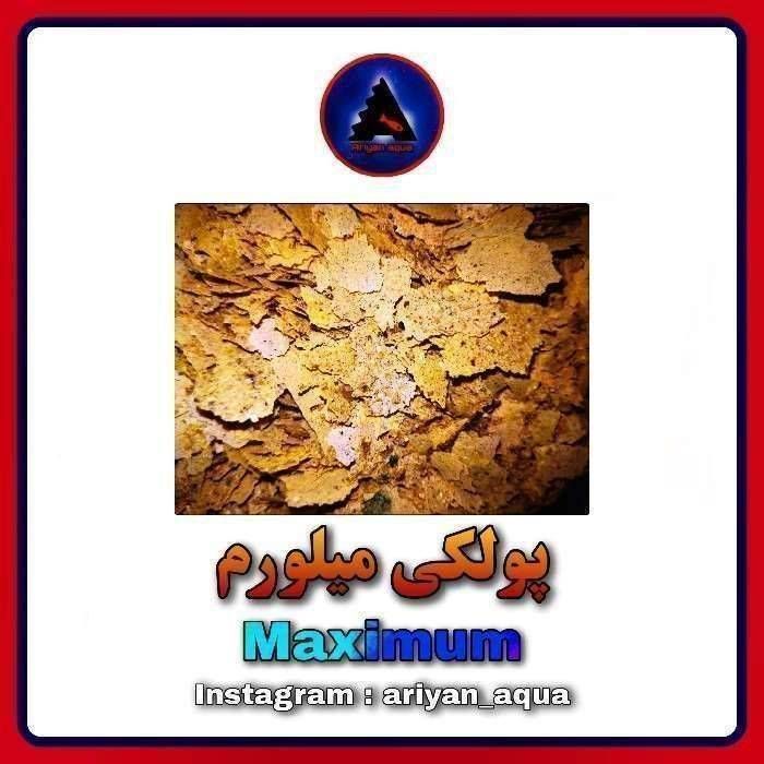 غذای پولکی Maximum MealWorm 8gr