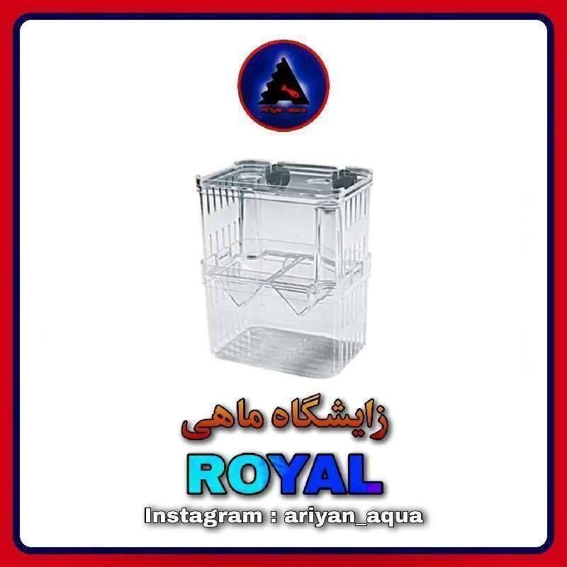 زایشگاه ماهی رویال