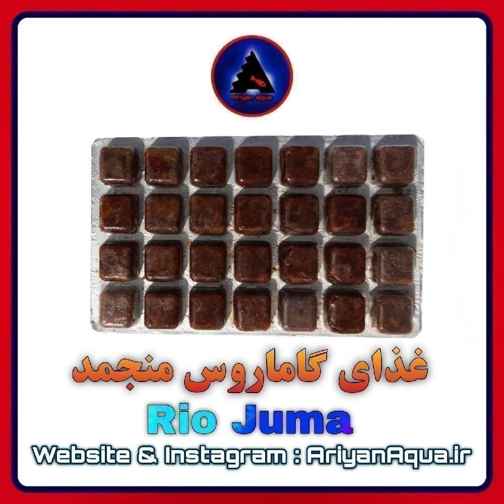 غذای میگو گاماروس منجمد Rio Juma