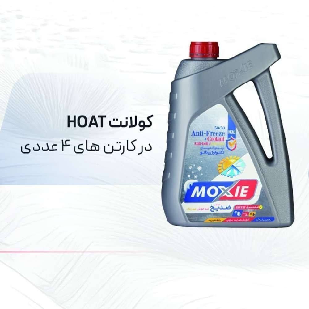 کولانت سبز ۱ کیلویی موکسی